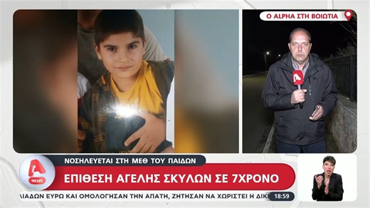 Σοκ στη Βοιωτία: Αγέλη σκύλων τραυμάτισε και έστειλε στο νοσοκομείο 7χρονο