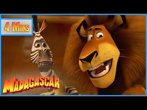 Trapped in the Train Station 🚂🦒| Madagascar | Mini Moments