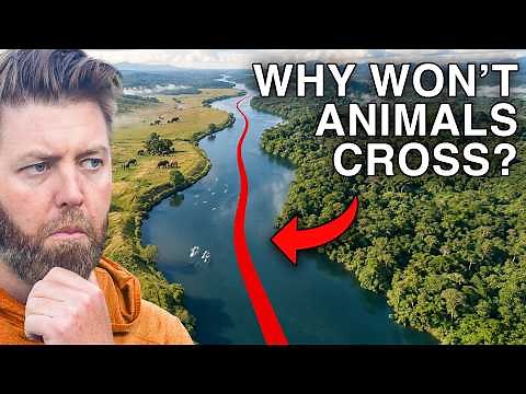 Why No Bird, Fish or Mammal Will Cross this Invisible Line