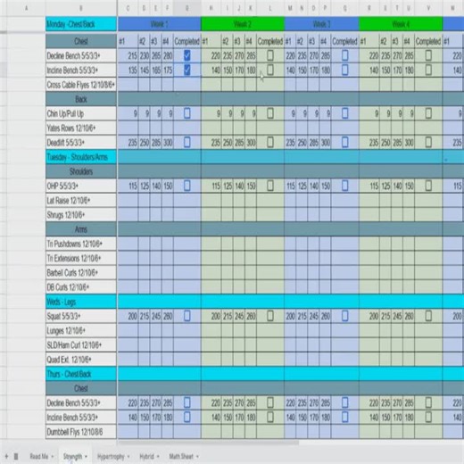 8-week Strength and Hypertrophy Lifting Program – Google Sheet and Excel (customizable Tracker) - Etsy Canada