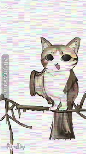 Meowl Always Better: Anime Fight Memes