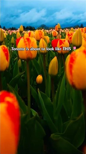 Have you booked your tickets?