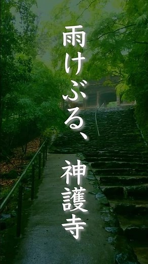 雨音と静寂。弘法大師空海ゆかりの古刹、神護寺の美しい雨景 |Raindrops & Silence: The Ethereal Beauty of Jingoji Temple in Kyoto