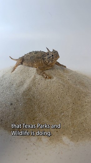 16K views · 404 reactions | Ready for my close-up  WE NEED YOUR...