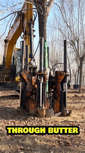 This Machine Is Saving Our Forests! 🌳 Amazing Tree Relocation Tech!