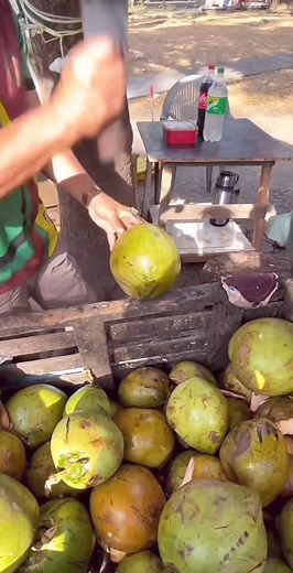 On August 23rd, HMCS Quadra CTC will have its final graduation parade! We invite guests to be seated prior to 10:00 AM at the parade square. Make sure to follow signs and listen to staff for parking instructions and further directions on base. Graduating parties include the Power Pilot Training Course, Sail 1, Sail 2, Introduction to Military Band, Aviation Technology and Aerospace, Seamanship, and all of our staff cadets. This parade will wrap up the many successes and triumphs cadets have achi