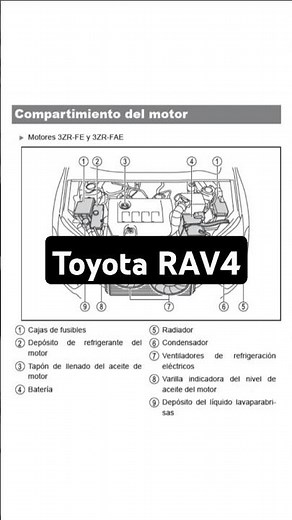 Toyota RAV4 FUSES and RELAYS DIAGRAM. Free. Shorts.