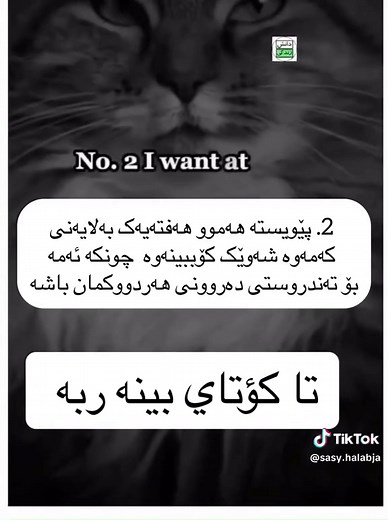 ‏#sasy_halabja #foryou #halabja #halabjakam