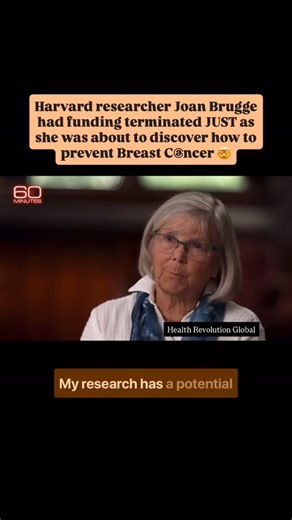 Health Revolution Global 🌎 on Instagram: "Why Promising Cancer Prevention Research Sometimes Stalls Dr. Joan Brugge, a highly respected cancer biologist at Harvard, led influential research examining early cellular changes that precede breast cancer development. Her work helped advance scientific understanding of how cancer begins long before tumors form, a critical area of prevention science. Like many long-term academic research projects, funding for this work was eventually discontinued. Thi