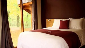 2.6K views · 24 reactions | Our Golden Oak Treehouses are built with...