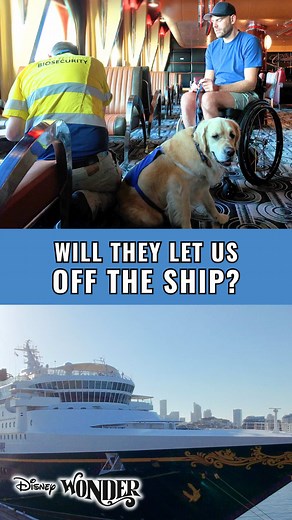 Will biosecurity let us off the ship? We’ve arrived in Sydney… but I’m about to find out if Whitney will pass the biosecurity check. I’ve heard there’s poking and prodding.... just hope there’s no cavity search. All this for a domestic cruise. #DisneyWonder #CruiseLife #AccessibleTravel #ServiceDog #Biosecurity #TravelAustralia #DisneyCruise