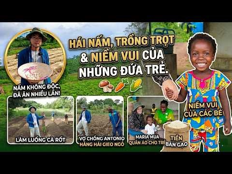 Antonio and his wife enthusiastically utilize all the land | Planting corn quickly | Carrots cove...