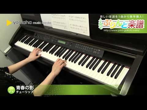 青春の影 / チューリップ : ピアノ（ソロ） / 初級