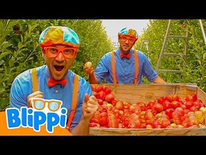 Blippi visite une station de pommes | Manger Sain | @BlippiFrancais