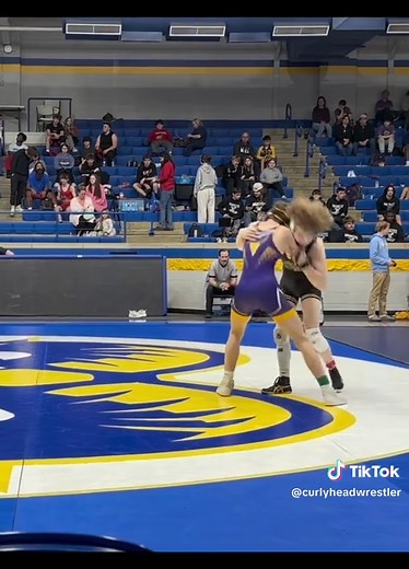 Exploring Mixed Wrestling: Top Matches and Techniques