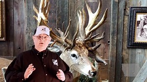 33K views · 92 reactions | We will have a property preview and tour...