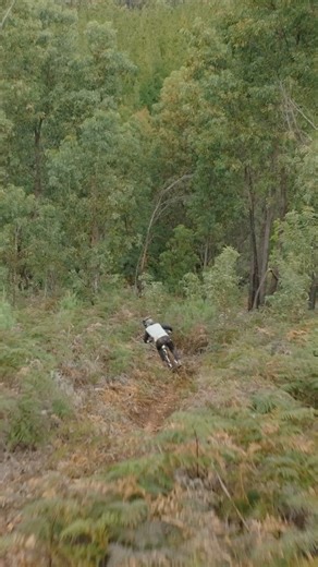 2.1K views | Our 2025 Pivot Firebird review is here! Lia’s been busy seeing whether this bank-breaker of a bike lives up to both its price point and reputation. Flow has quite the history with the Firebird, and the welcoming of this sixth-gen model into our test fleet caused quite the stir internally. How did it go? Find Lia’s written and video review via the link in the comments  What do you think of the Firebird? Past or present  | Flow Mountain Bike | Facebook