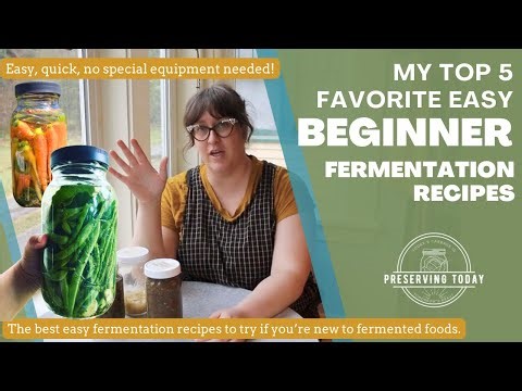 Beginner Fermentation Recipes: Top 5 Best Recipes If You’re New to Fermenting