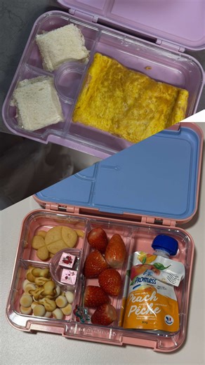 Fun Lunchbox Surprise and Rap Performance