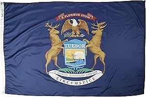 Annin Flagmakers Michigan State Flag USA-Made to Official State Design Specifications, 4 x 6 Feet (Model 142670)