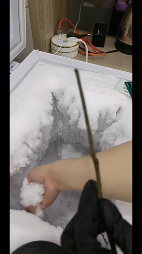 Nana the ice Obsessed on Instagram: "Learn how to craft beautiful ice flowers in this quick tutorial! 💐 #tutorial #ice"