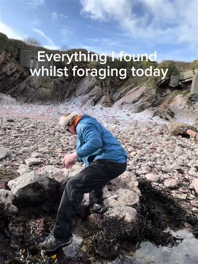 Exploring Marine Biology and Ecology Today