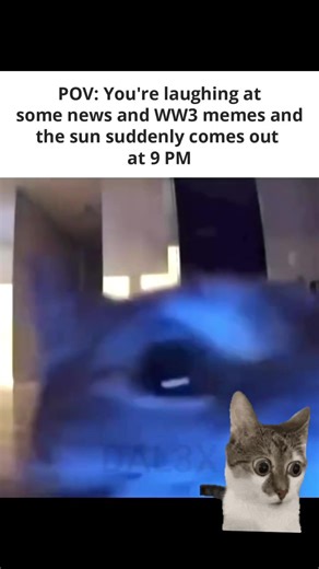 Understanding the Humor in WW3 Memes