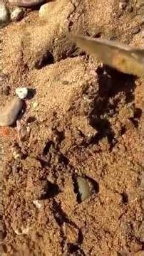 Is YUKON Having the BIGGEST GOLD Rush in HISTORY Right Now? 😜😁