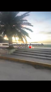 Sebas Sebas on Reels