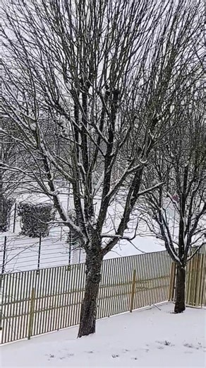 Quelle vue magnifique depuis les fenêtres !. winter Snow season #winterdream