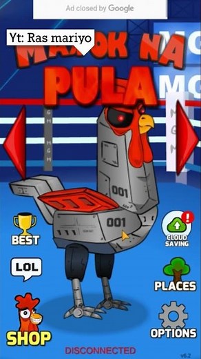 Ayamku Harus Menang ✅ Manok na pula #Shorts