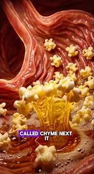 WHAT HAPPENS INSIDE YOUR BODY AFTER YOU EAT POPCORN?