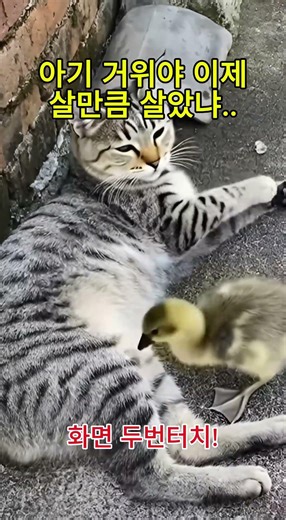 거위가 맛있다던데..