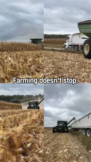 When your equipment works hard, it needs filters that work harder. At NAPA, we’re your trusted source for premium agricultural filters like NAPA GOLD that keep your engines protected and running stronger, longer. | NAPA AUTO PARTS