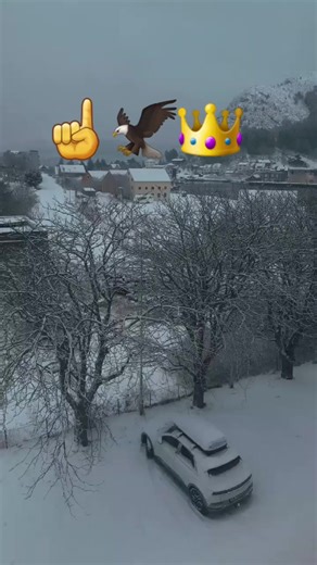 Only A F G 🇦🇫✌️💔 afghan (@onlyafghan123)’s videos with original sound - 🥀 ʚंروحےɞ. 💐 🌸🙋‍♀️