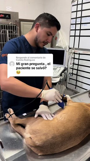 Manejo de Autotransfusión en Pacientes Críticos