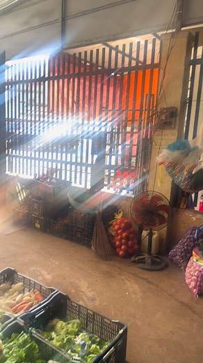 53K views · 516 reactions | Giá ca chua vựa 24/11 | Nho Trieu | Facebook