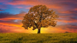 It’s important to God that you get His wisdom. Watch today’s teaching to discover the steps you can take to get it! | Inspiration Ministries