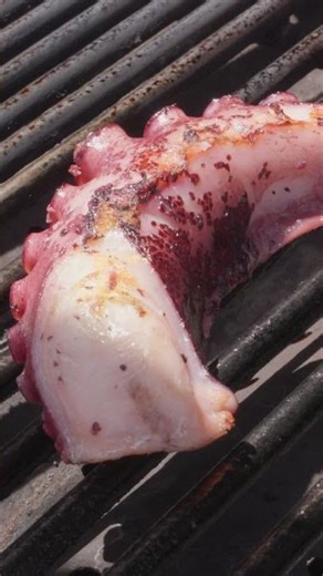 Fulton Fish Market | How to Know When Your Octopus Is Cooked