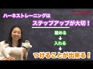 ハーネスの付け方トレーニング｜ドッグトレーナー監修