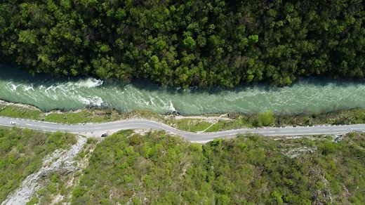 Road, Cars, Forest, Daylight