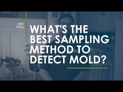 What’s the Best Sampling Method to Detect Mold?