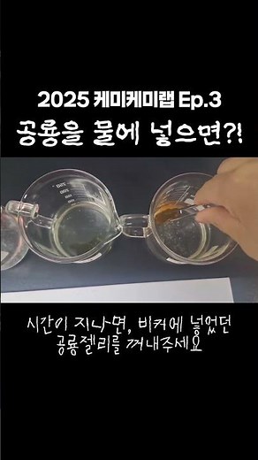 공룡이 커졌어요! 젤리 삼투압 알아보기｜화학체험 프로그램 2025 케미케미랩 Ep 3