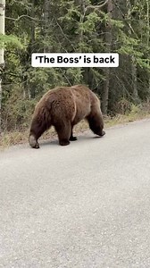 131K views · 2.4K reactions | Here are some facts about ‘The Boss’ ...