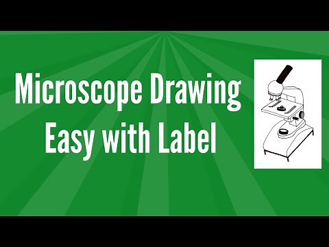 Microscope Drawing Easy with Label