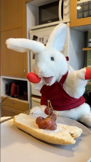 Raisin Bread 🍇 easy recipe 🐇 #easyrecipe #gastronomy #pastry #rabbit