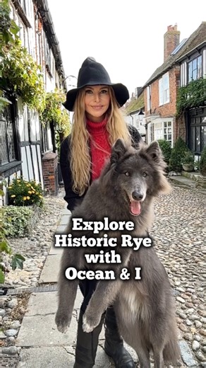49K views · 2.4K reactions | Explore historical Rye with Ocean and I. See the most photographed roads in the uk and visit one of the most haunted hotels #rye #mermaidinn #haunted #HauntedHotels #hauntedhouse #medievalhistory #sussex #historical #wolf #wolves #harrypotter #bluewolf #direwolf #magical | Anneka Svenska | Facebook
