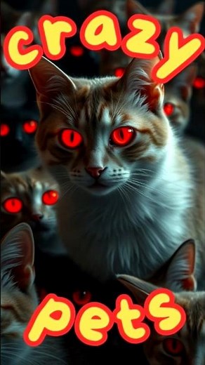 🤣 Ces animaux sont trop amusants 🐾 Les moments les plus drôles 😂