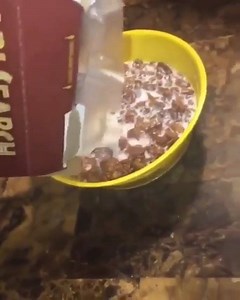 1.5K views | Triggered | Funny Videos | Facebook