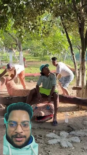 The python eat a man. #python #viral #trending #viralshorts #horroe